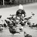 The little girl and the pigeons